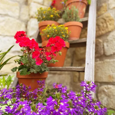 Apartment Landhaus Porschdorf *