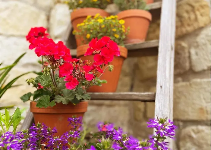 Апартаменты Landhaus Porschdorf *